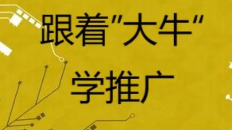 网络营销方案：如何打造精准高效的市场推广策略